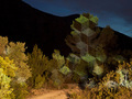 Niebanalne projekcje świetlne w krajobrazie na zdjęciach Javiera Riery