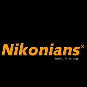 Epson partnerem Nikonians 