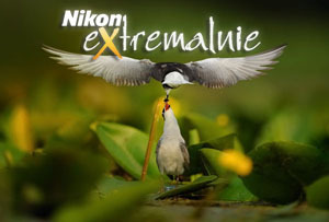 Nikon eXtremalnie III: Gdzie łąki i pola, i bagna po pas,  gdzie natura wciąż dzika - tam fotograficzny raj!