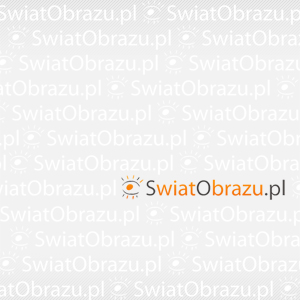 avatar Ołazakx