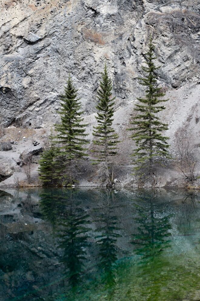 Drzewa. Jezioro. G&oacute;ry Skaliste, Kanada