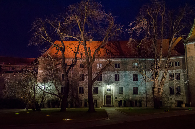 Wawel nocą - fragment