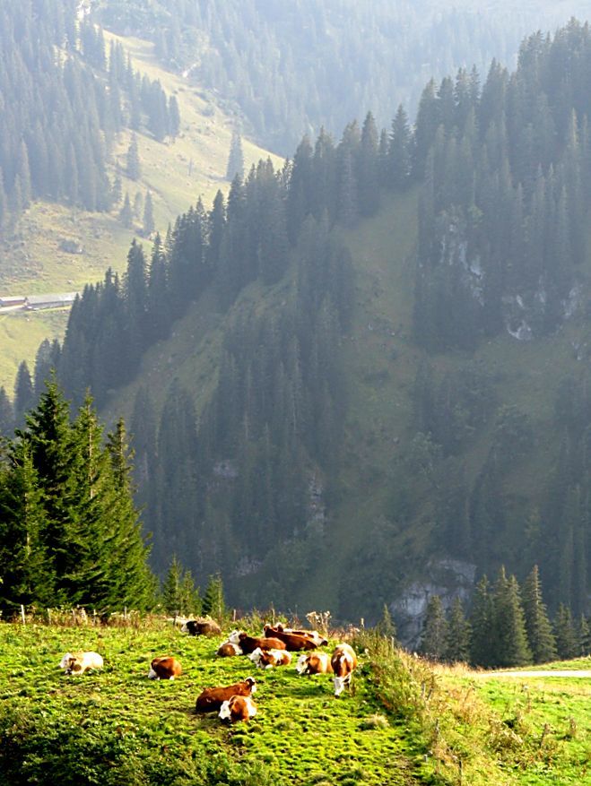 alpejskie widoki