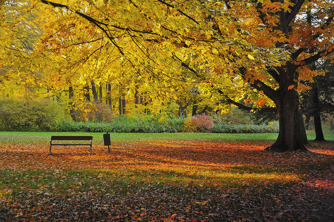 Jesień w parku Żywieckim
