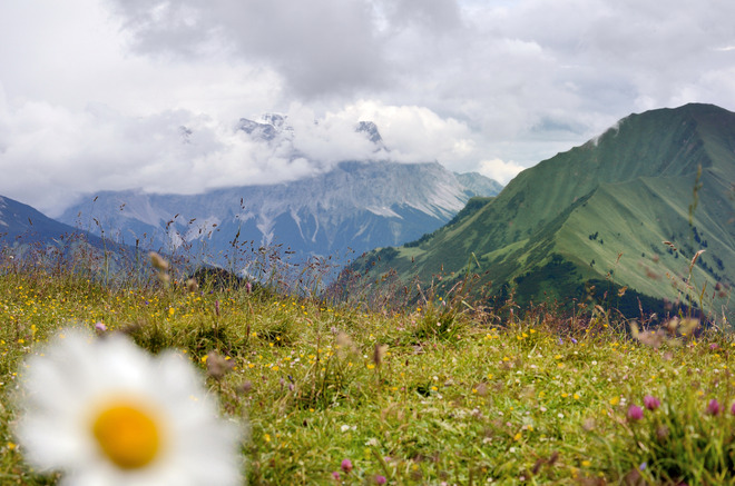 Alpejski krajobraz