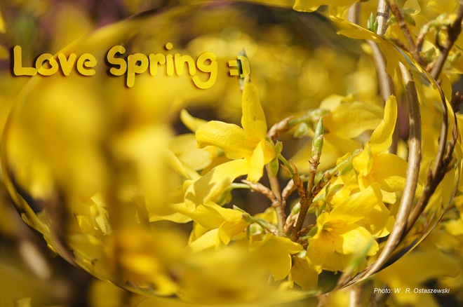 LoveSpring-Kocham wiosnę