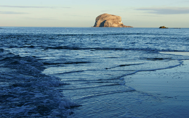 Bass Rock -Scotland 