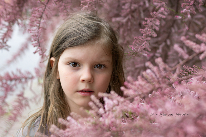 Portret w kwitnącym tamaryszku