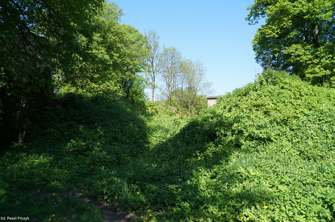 Mur obronny zakryty zielenią