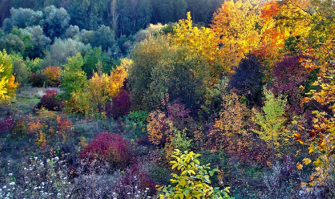 Kolory jesieni