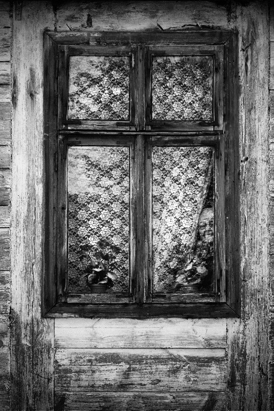 okno w pelargoniach
