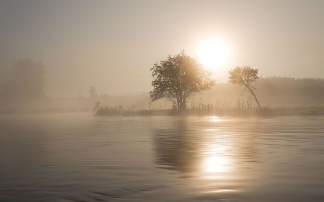 Rzeka Gwda otulona mgłą i światłem słonecznym 