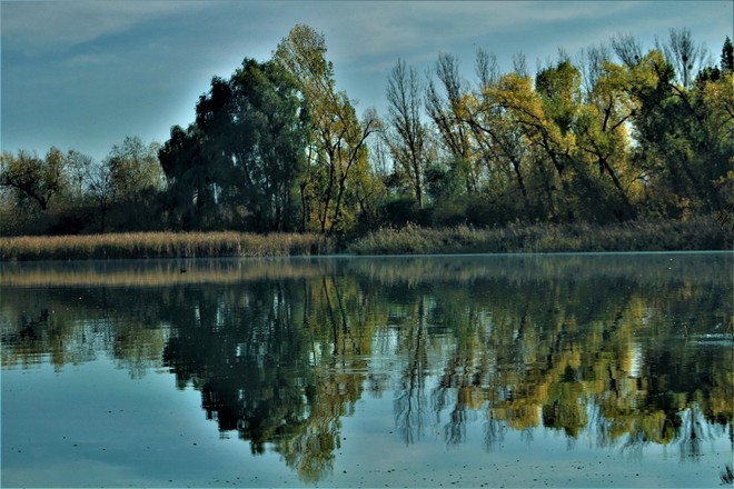 Jezioro na Pałukach