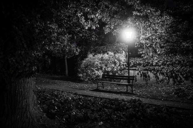 Samotność w parku