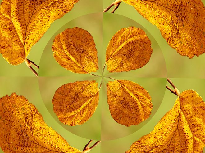 kalejdoskop jesienny