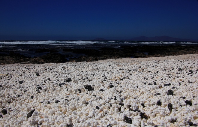 Popcornowa plaża. Fuerteventura