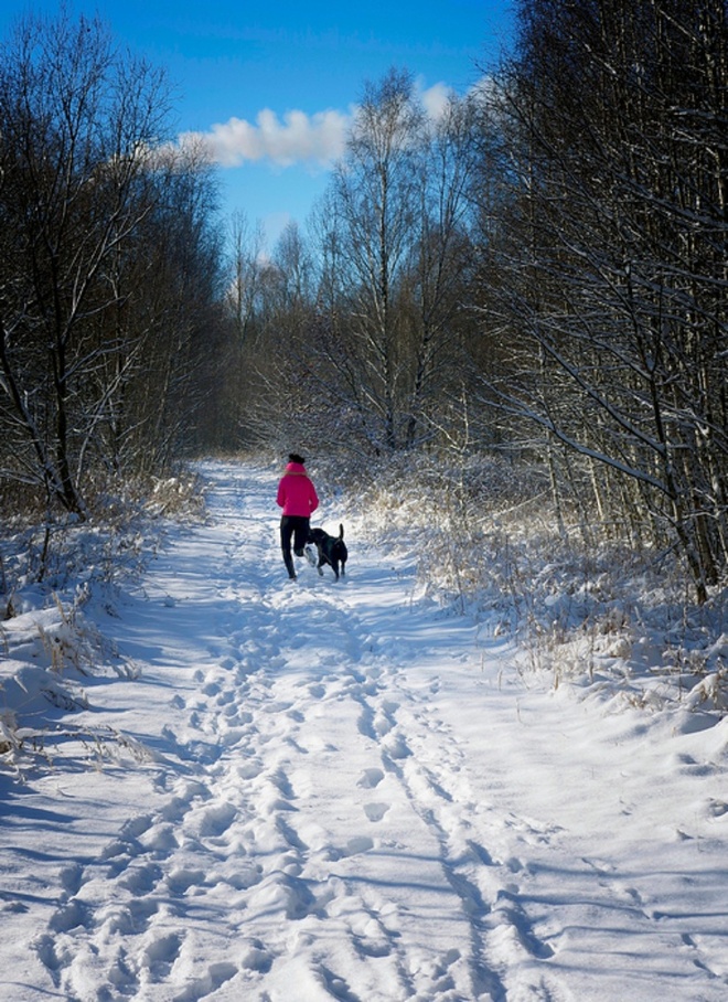 Zimowy jogging