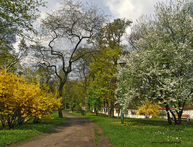 Wiosna w białostockim parku  :)