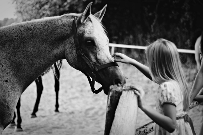 Koń i mała dziewczynka.