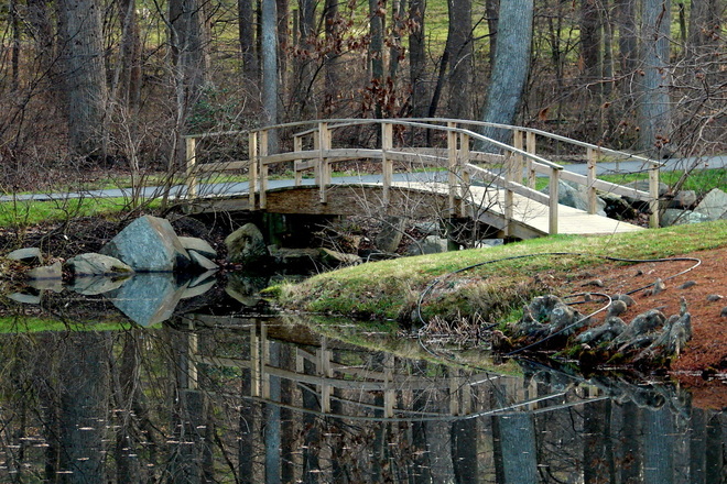 Mostek w parku