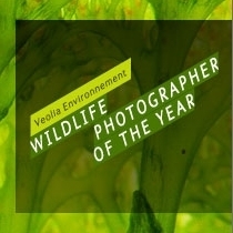 Wildlife Photographer of the Year - twój aparat ma mniej niż 10 megapikseli? Nie weźmiesz udziału w konkursie