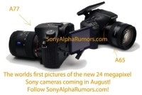 Pierwsze zdjęcia Sony SLT-A77?
