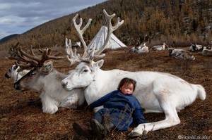 Fotografia na świecie: Mongolia
