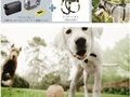 Sony AKA-DM1, czyli mocowanie do kamery dla psów