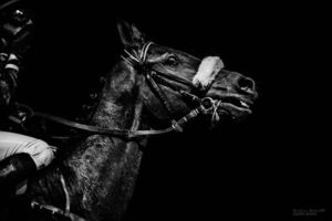 Mroczna i jasna strona wyścigów konnych ukazana na znakomitych fotografiach Cariny Maiwald