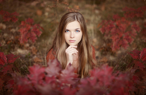 Kolory jesieni - najpiękniejsze fotografie