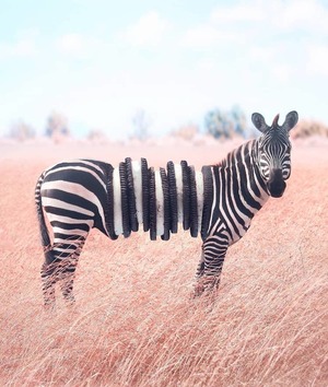 Śmieszne zdjęcia zwierząt w manipulacjach utalentowanego artysty Ronalda Onga