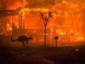 Australia płonie - zdjęcie Matthew Abbotta, które przejdzie do historii