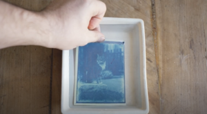 Fotograf znalazł w kapsule czasu 120-letnie zdjęcie kota