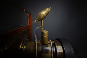 Zaraz wyleci ptaszek - czyli ciekawe narzędzie dawnych fotografów