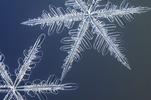 Imponujące mikrofotografie płatków śniegu