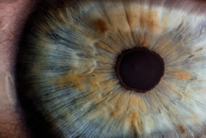 Sztuczna inteligencja może zdiagnozować autyzm na podstawie zdjęć oczu