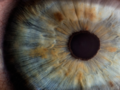 Sztuczna inteligencja może zdiagnozować autyzm na podstawie zdjęć oczu